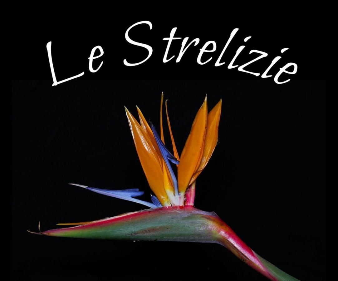 Le Strelizie Apartment Arnesano Bagian luar foto